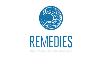 Remedis